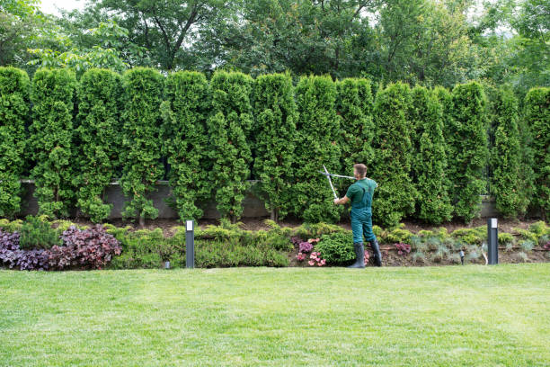 Best Artificial Turf Installation  in Perth Amboy, NJ